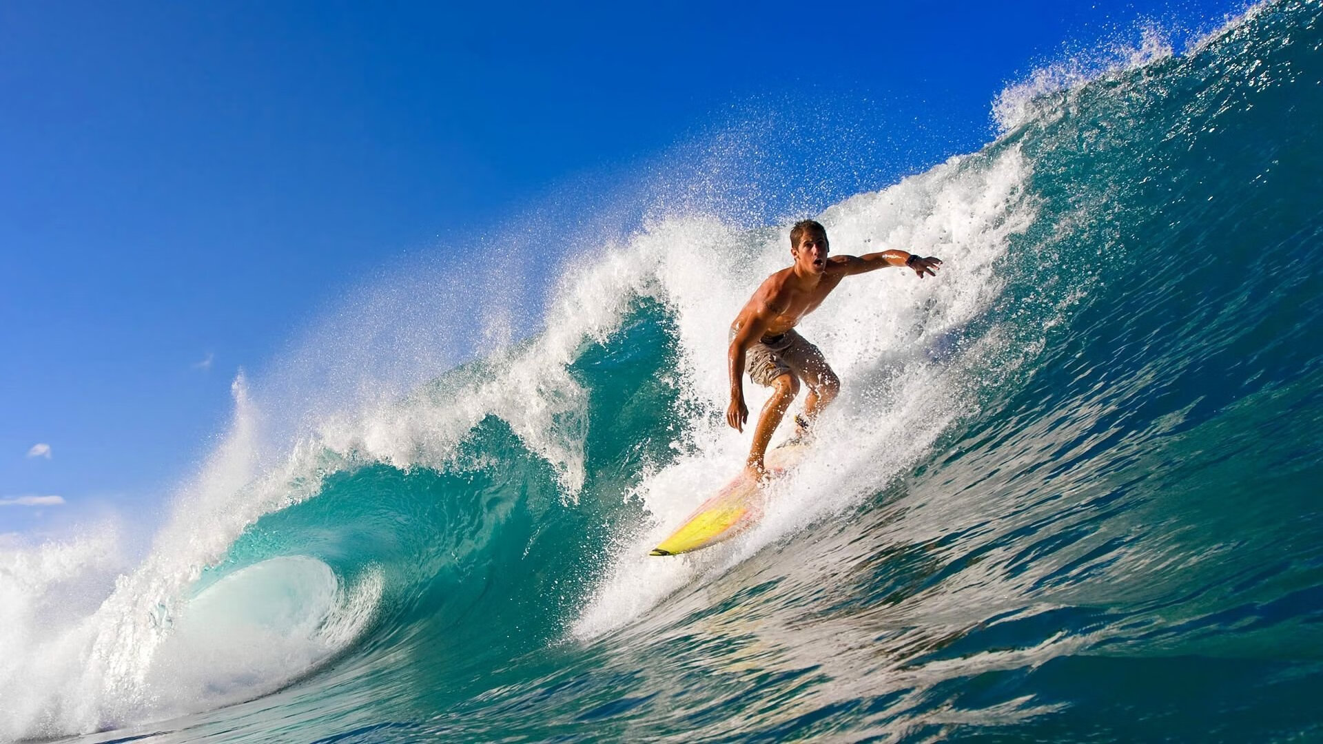 乐鱼体育登录-职业联赛推动体能数据透明化保障球员权益，职业球员的体能