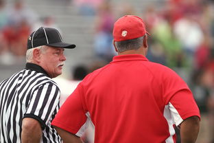 乐鱼官网-中甲联赛在整体体系中的定位，中甲联赛赛制